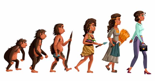 নৃবিজ্ঞান অনার্স করে বিসিএস ক্যাডারে সুযোগ ও বিষয়গত গুরুত্ব